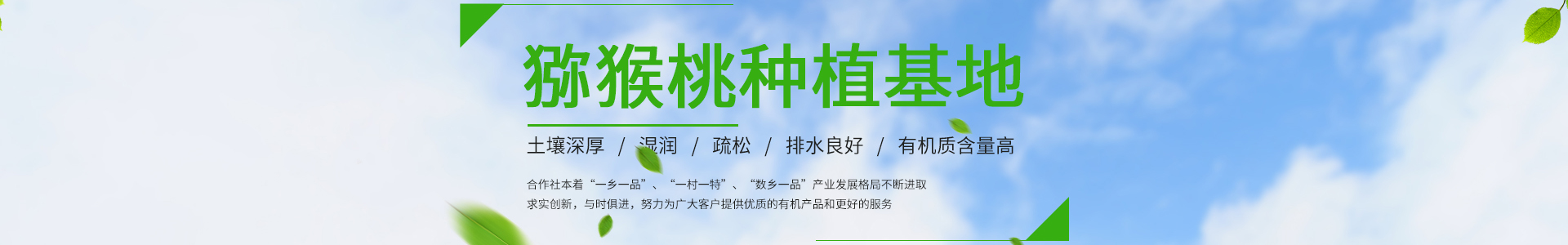 2025年初最新最全dnf公益服发布网站