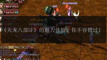 dnfsifu：最新天龙私服 (9)