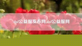 dnf私发布网：公益服网(公益服网易云燃武)