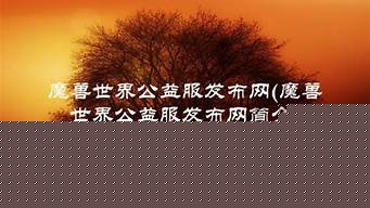 公益服发布网(天龙八部公益服发布网) (2)