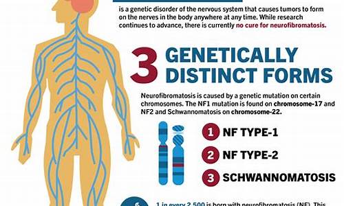 dnf最新发布网：nf网站 (5)
