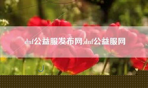 公益服网(公益服网址)